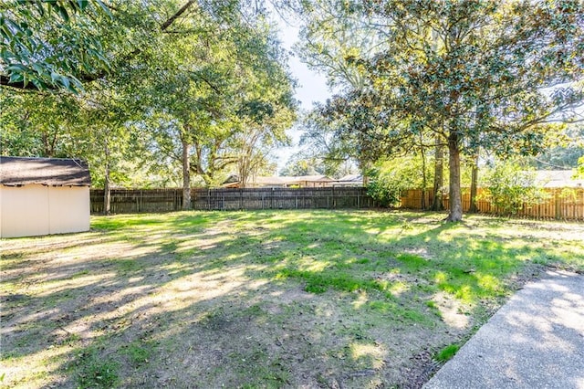 view of yard with a shed