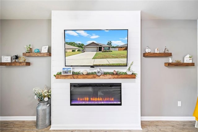 room details featuring a fireplace, wood finished floors, and baseboards