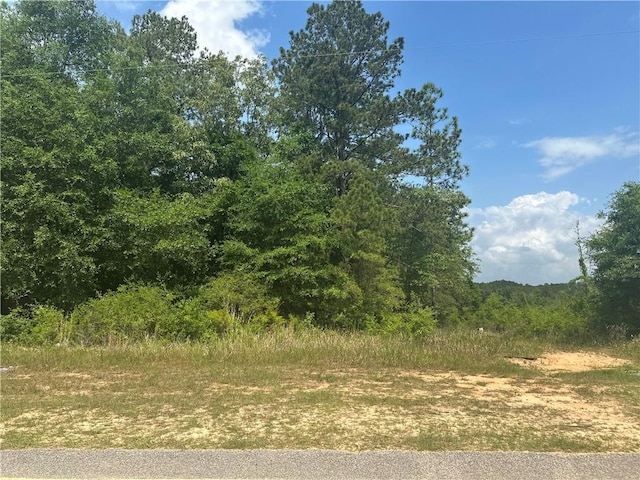 6780 Haggerty Ln, Eight Mile AL, 36613 land for sale