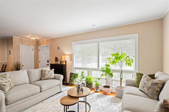 living room with light hardwood / wood-style flooring and crown molding