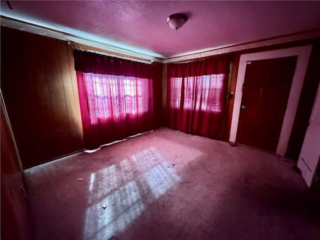 empty room with a textured ceiling and carpet floors