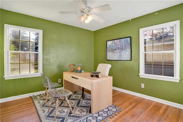 office area featuring hardwood / wood-style flooring and ceiling fan