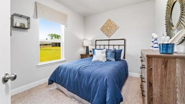 bedroom featuring baseboards and carpet floors