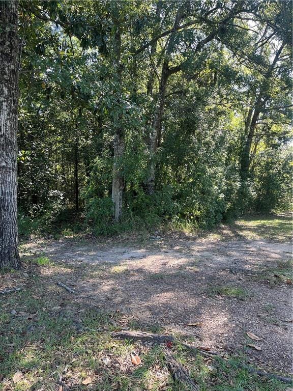 Listing photo 3 for 0 Tower Ln, Irvington AL 36544