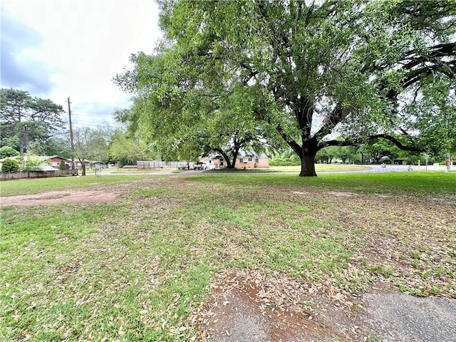 5405 Moffett Rd, Mobile, AL 36618 - view of yard