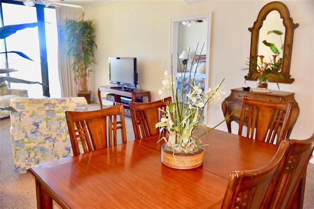 dining room featuring carpet flooring