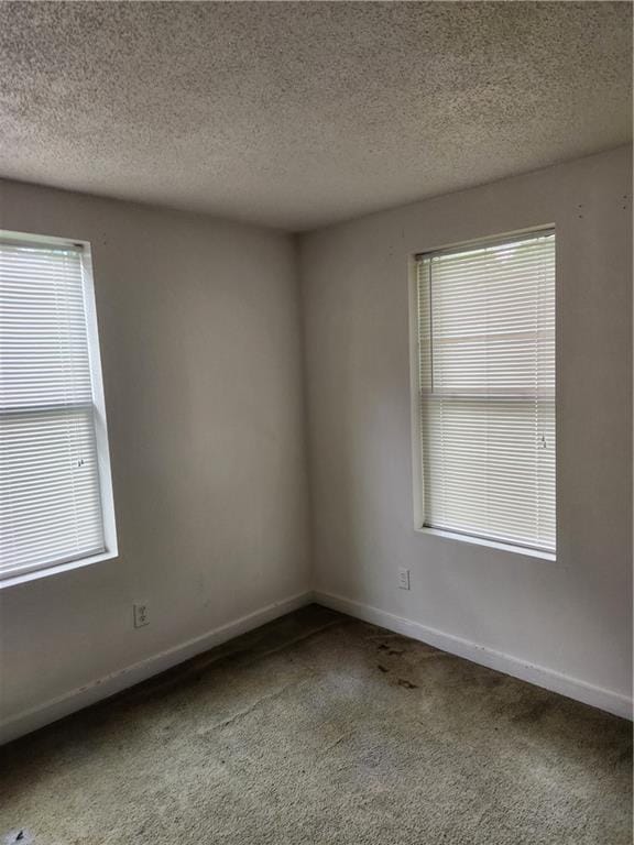 empty room featuring a textured ceiling, carpet flooring, and plenty of natural light