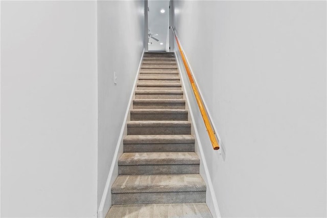 stairs featuring carpet