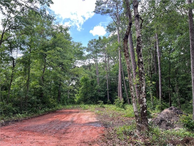 Listing photo 3 for 0 Belle Air Blvd, Theodore AL 36582