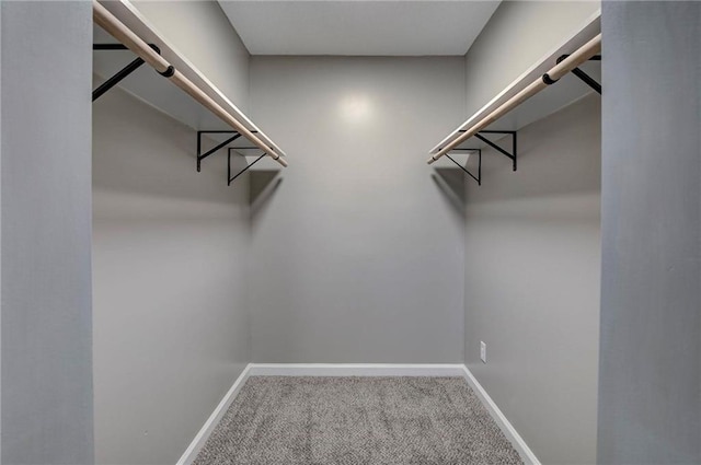 1112 Druid Dr, Mobile, AL 36618 - spacious closet featuring carpet