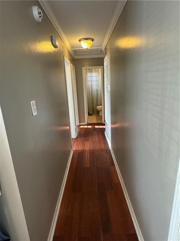 hall featuring dark hardwood / wood-style floors and ornamental molding