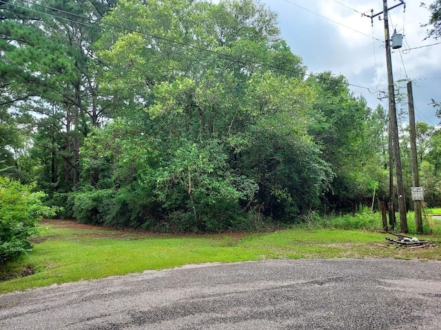 0 Twelve Oaks Dr, Mobile, AL 36695