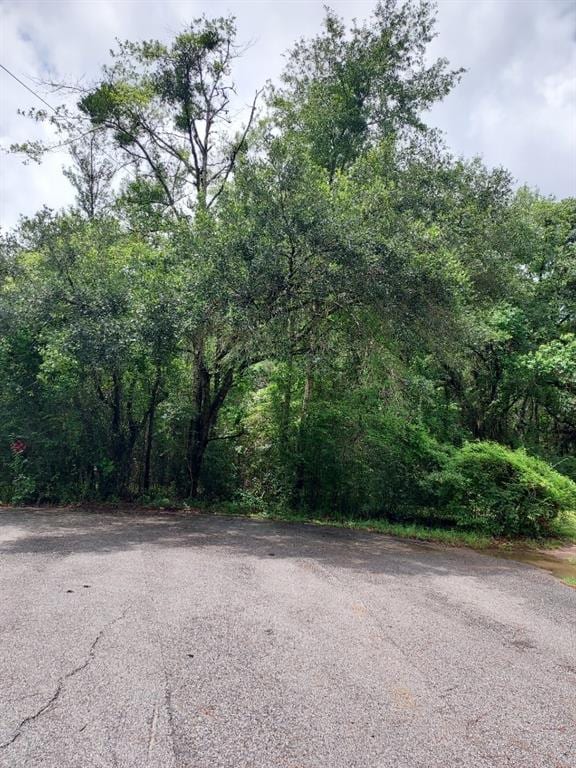 0 Twelve Oaks Dr, Mobile, AL 36695