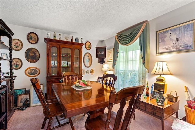3425 Poe Rd S, Chunchula, AL 36521 - carpeted dining area with a textured ceiling