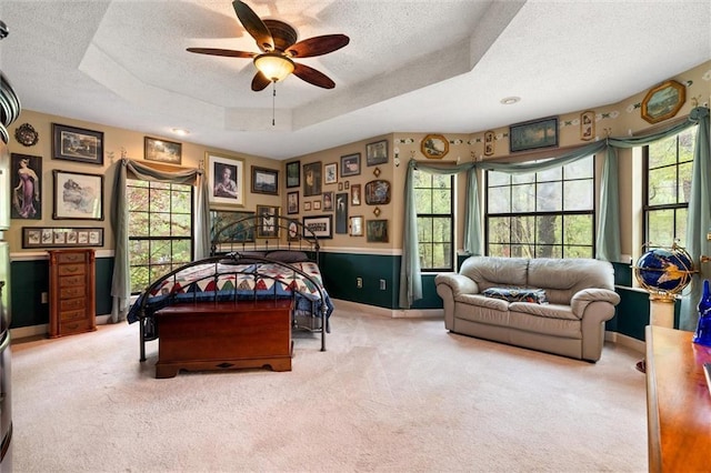 3425 Poe Rd S, Chunchula, AL 36521 - bedroom with a textured ceiling, carpet, and a tray ceiling