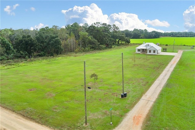 11531 Schmidt Ln S, Mobile, AL 36695 - view of green lawn with driveway and a rural view