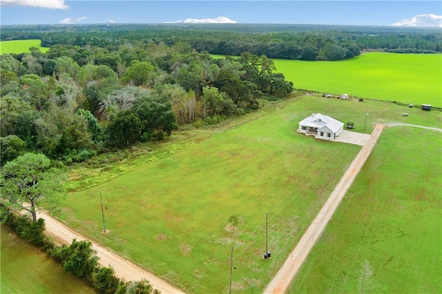 11531 Schmidt Ln S, Mobile, AL 36695 - overview of rural landscape