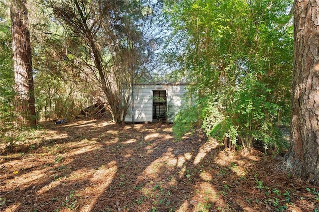 exterior space featuring a storage unit