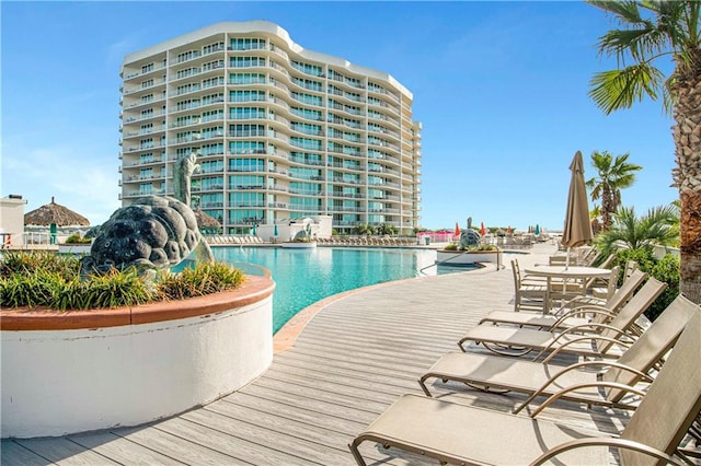 view of swimming pool