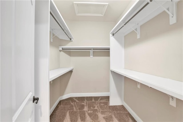 walk in closet featuring dark carpet