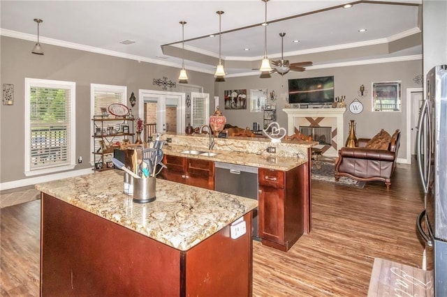 kitchen with a spacious island, a fireplace, appliances with stainless steel finishes, light wood-type flooring, and a tray ceiling