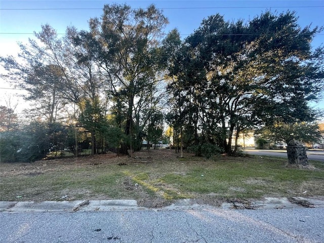 Listing photo 3 for 0 Shady Brook Dr, Mobile AL 36606