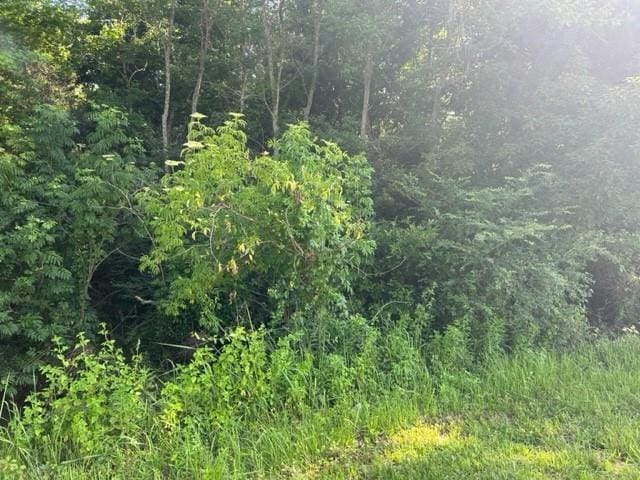 0 Tom Waller Rd, Grand Bay, AL 36541