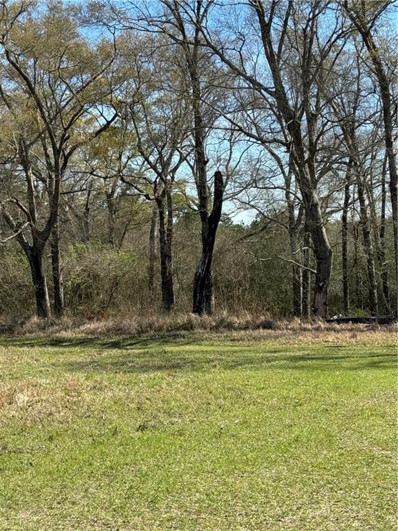 15460 John Kelly Rd, Chunchula, AL 36521