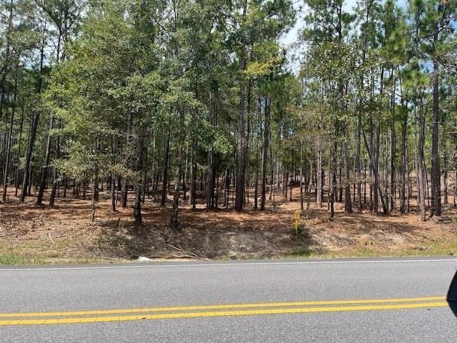 0 State Highway 225, Bay Minette AL, 36507 land for sale