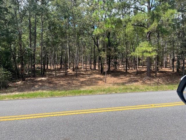 Listing photo 2 for 0 State Highway 225, Bay Minette AL 36507