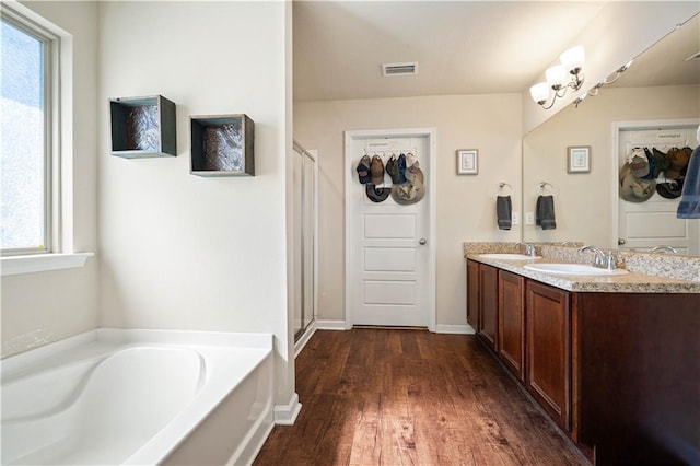 bathroom with separate shower and tub, vanity, and a wealth of natural light