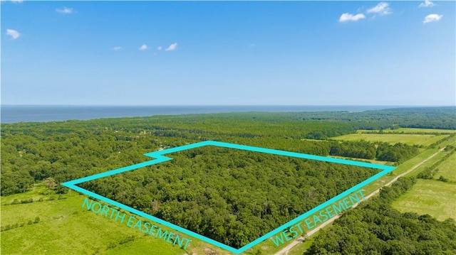 0 Laurendine Rd, Theodore AL, 36582 land for sale