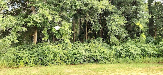 0 Sweetbriar Ln, Semmes AL, 36613 land for sale