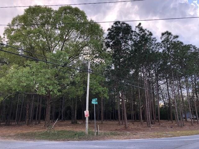 Listing photo 3 for 0 Moffett Rd, Wilmer AL 36587