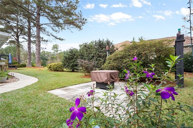 view of yard featuring a patio