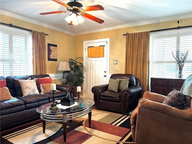 living room featuring ceiling fan, ornamental molding, and a textured ceiling