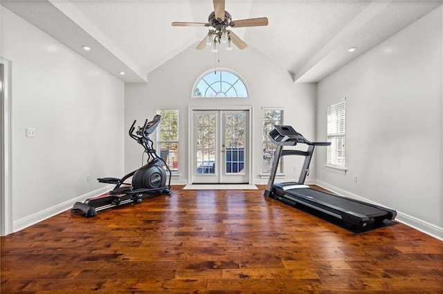 workout area featuring a healthy amount of sunlight, baseboards, and french doors