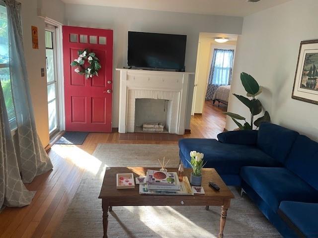 living room featuring wood-type flooring