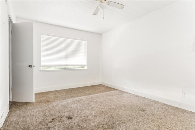 empty room featuring ceiling fan and carpet floors