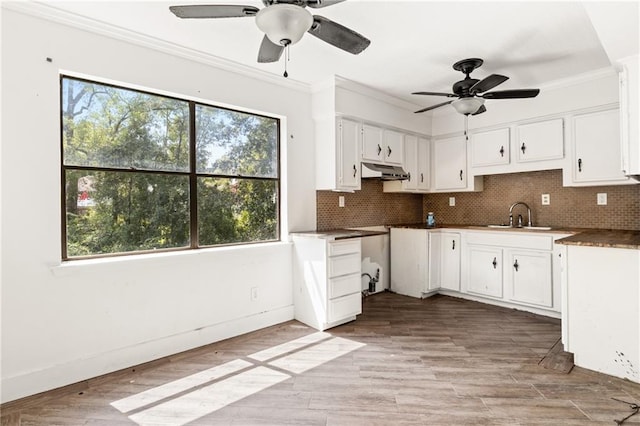 kitchen featuring ceiling fan, plenty of natural light, and sink