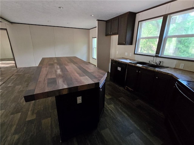 kitchen featuring dark hardwood / wood-style floors, sink, a textured ceiling, black / electric stove, and dark brown cabinets