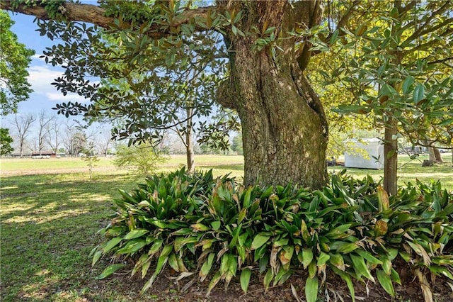 10407 Lala Rd, Daphne, AL 36526 - view of home's community featuring a lawn