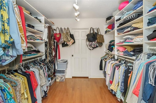 spacious closet featuring wood finished floors