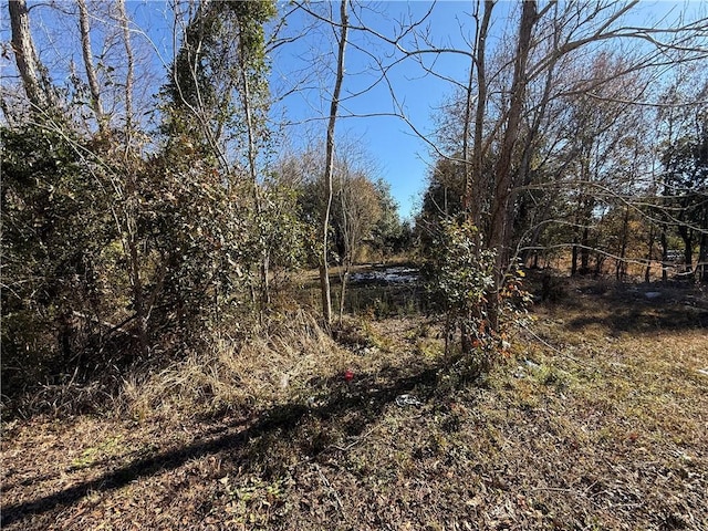 Listing photo 3 for 0 Beverly Rd, Irvington AL 36544