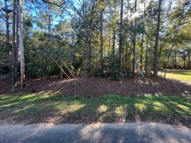 0 Bayou Jonas Dr, Coden AL, 36523 land for sale