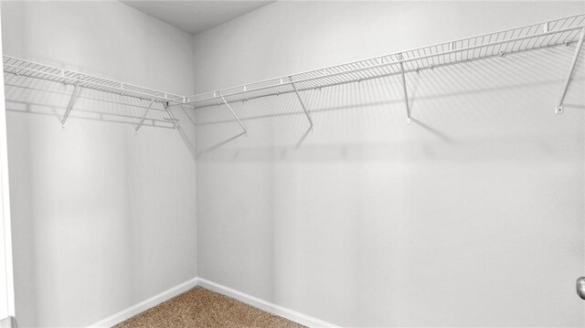 8616 Brooklyn Ct, Semmes, AL 36575 - spacious closet featuring carpet floors