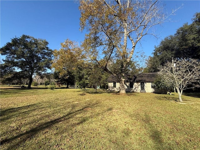 view of yard