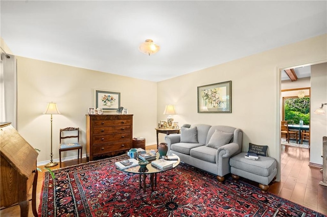 living room featuring hardwood / wood-style floors