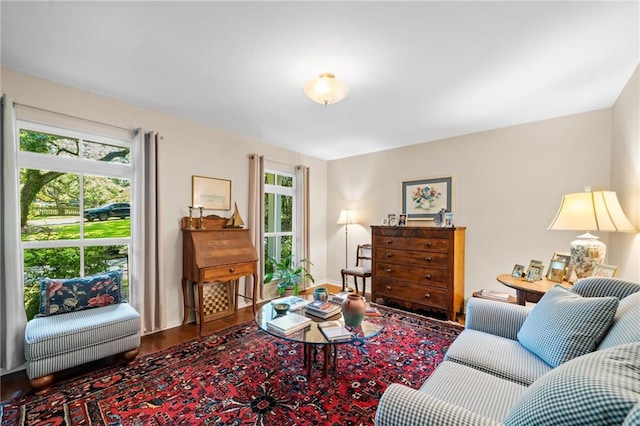 living room featuring hardwood / wood-style flooring