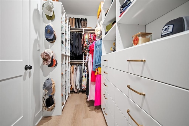 spacious closet featuring light wood-type flooring